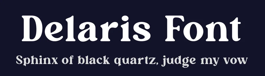 Delaris Font by zafira.type — Serif Font — thumbnail 2