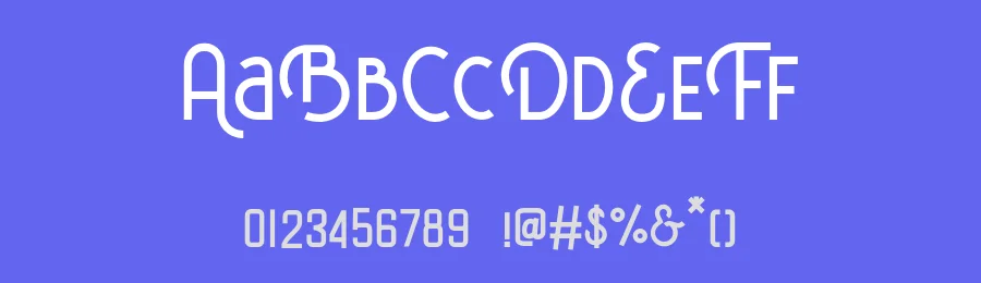 Delfina Vintage Font by Vultype Co. — Decorative Font — thumbnail 3