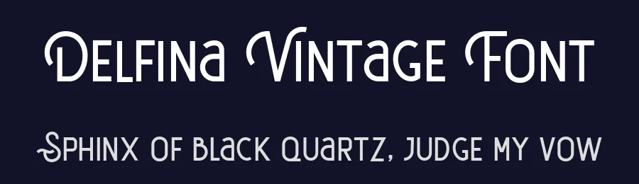 Delfina Vintage Font by Vultype Co. — Decorative Font — thumbnail 2