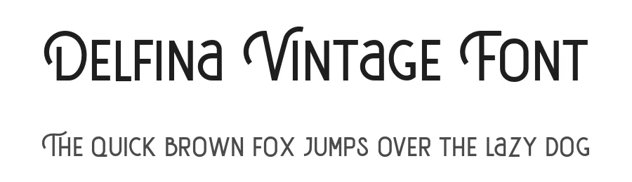 Delfina Vintage Font by Vultype Co. — Decorative Font