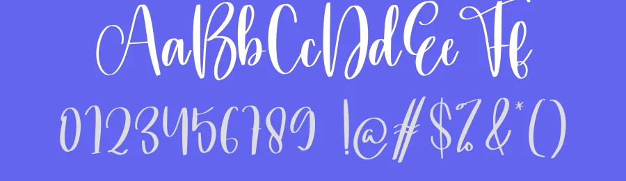 Delft Script Font by creativeletter — Script Handwritten Font — thumbnail 3