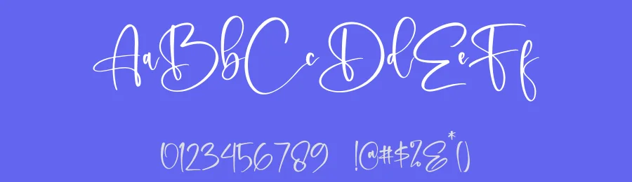 Delgonte Font by letternity — Script Handwritten Font — thumbnail 3