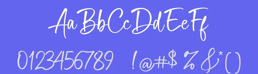 Delica Sitteen Font by Basnistudio — Script Handwritten Font — thumbnail 3