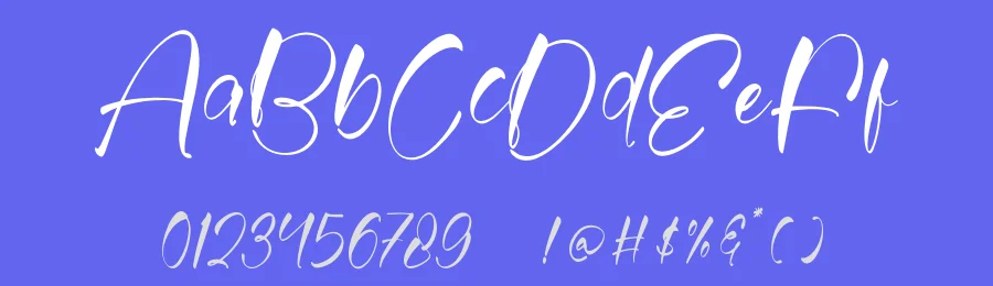 Delicate Cakes Script Font by stylishtype.co — Script Handwritten Font — thumbnail 3