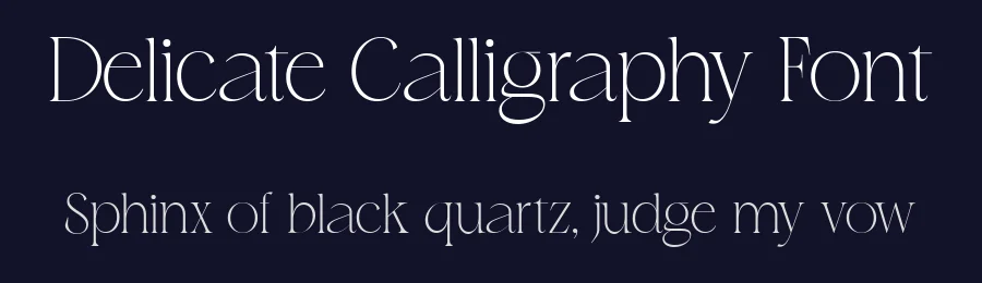 Delicate Calligraphy Font by Vampstudio — Serif Font — thumbnail 2