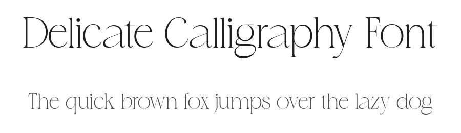 Delicate Calligraphy Font by Vampstudio — Serif Font