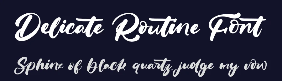Delicate Routine Font by letterenastudios — Script Handwritten Font — thumbnail 2