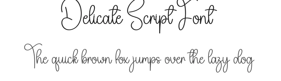 Delicate Script Font by creativeletter — Script Handwritten Font