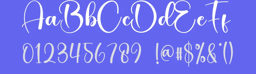 Delicate Script Font by creativeletter — Script Handwritten Font — thumbnail 3