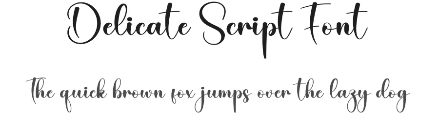 Delicate Script Font by creativeletter — Script Handwritten Font