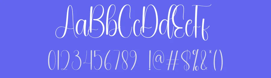 Delicate Script Font by andikastudio — Script Handwritten Font — thumbnail 3