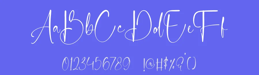 Delicately Font by stylishtype.co — Script Handwritten Font — thumbnail 3