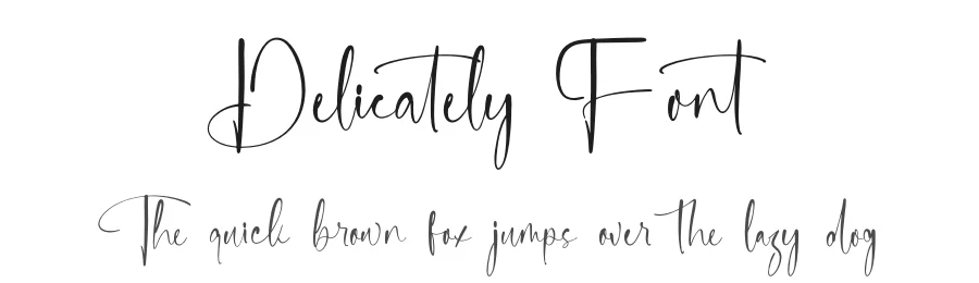 Delicately Font by stylishtype.co — Script Handwritten Font