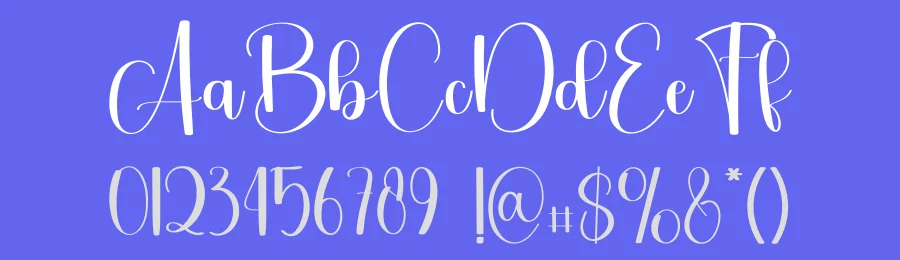 Delich Script Font by freshtypeink — Script Handwritten Font — thumbnail 3