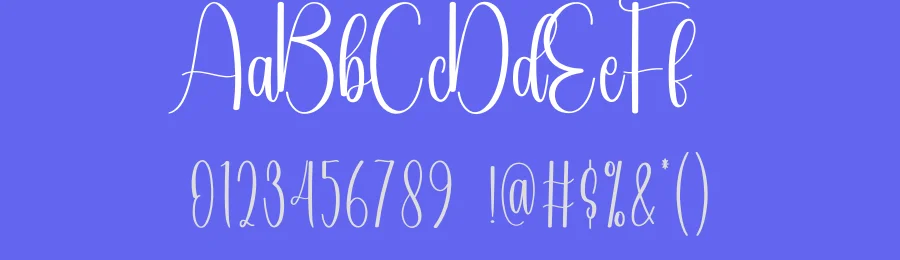 Delicious Script Font by andikastudio — Script Handwritten Font — thumbnail 3