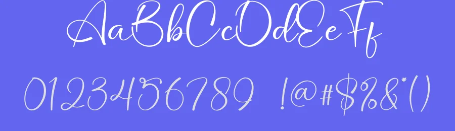 Delicius Script Font by creativeletter — Script Handwritten Font — thumbnail 3