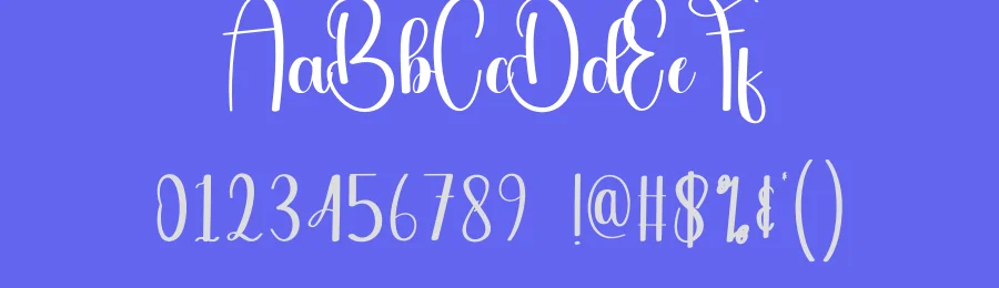 Delighful Script Font by andikastudio — Script Handwritten Font — thumbnail 3