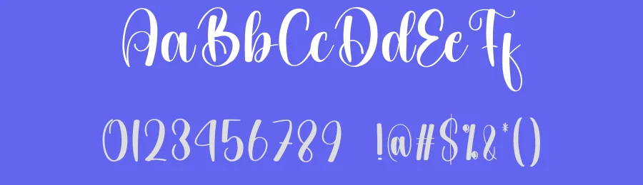 Delight Calligraphy Font by creativeletter — Script Handwritten Font — thumbnail 3