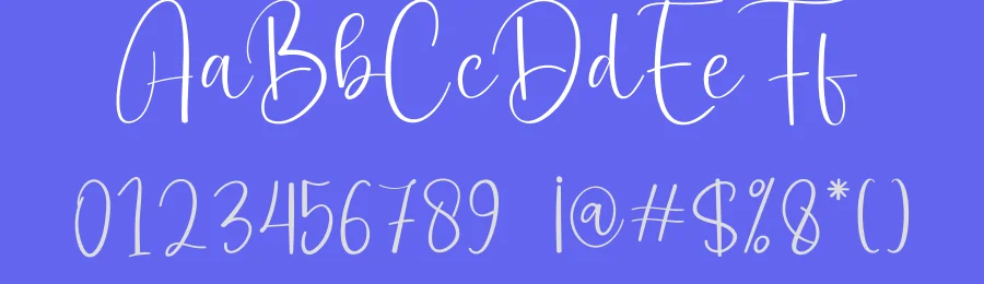 Delight Daddy Script Font by creativeletter — Script Handwritten Font — thumbnail 3