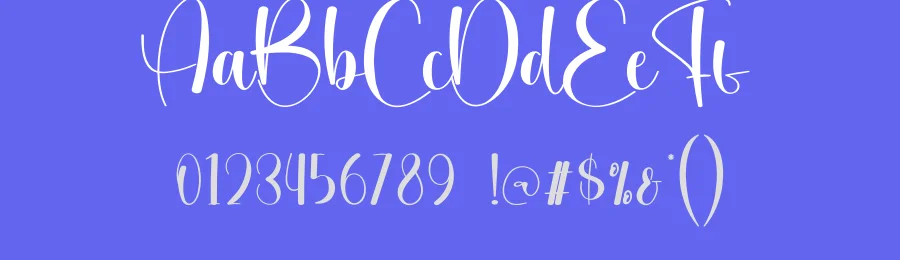 Delight Midnight Script Font by creativeletter — Script Handwritten Font — thumbnail 3