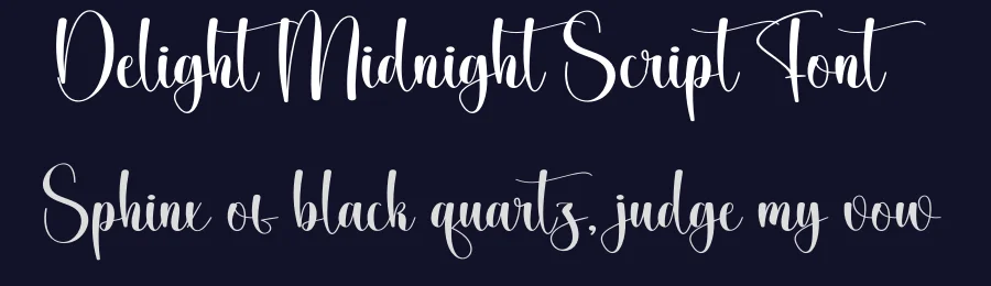 Delight Midnight Script Font by creativeletter — Script Handwritten Font — thumbnail 2