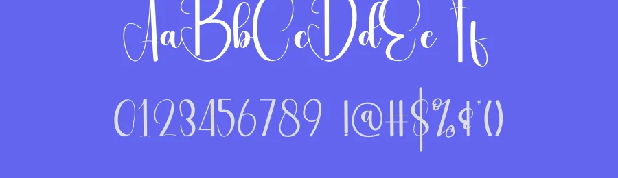 Delight – Modern Handwritten Script Font by andikastudio — Script Handwritten Font — thumbnail 3