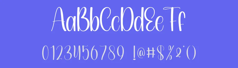 Delight Saturday Script Font by andikastudio — Display Font — thumbnail 3