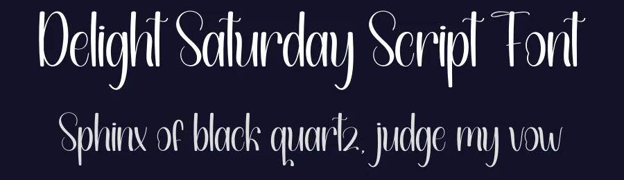 Delight Saturday Script Font by andikastudio — Display Font — thumbnail 2
