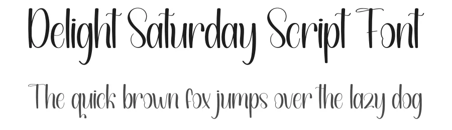 Delight Saturday Script Font by andikastudio — Display Font