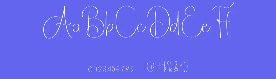 Delight Signature – Casual Handwritten Script Font by freshtypeink — Script Handwritten Font — thumbnail 3