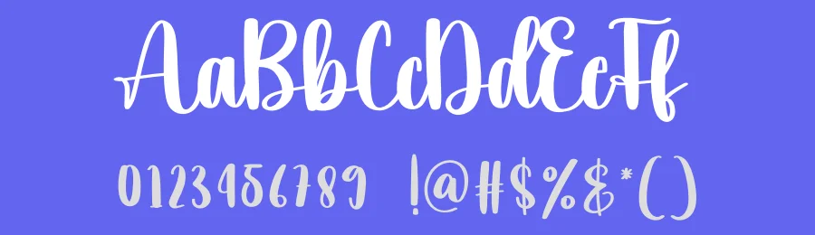 Delighted Script Font by creativeletter — Script Handwritten Font — thumbnail 3