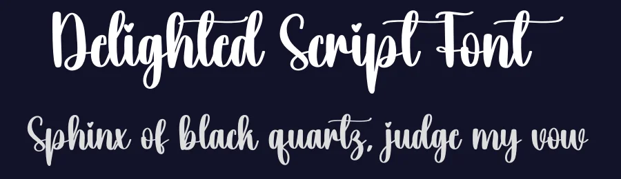 Delighted Script Font by creativeletter — Script Handwritten Font — thumbnail 2