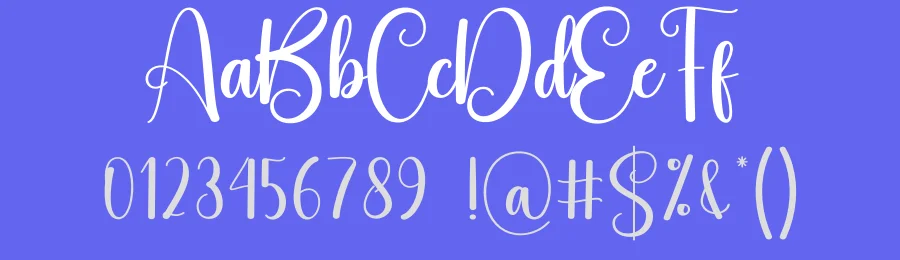 Delighted Script Typeface by creativeletter — Script Handwritten Font — thumbnail 3
