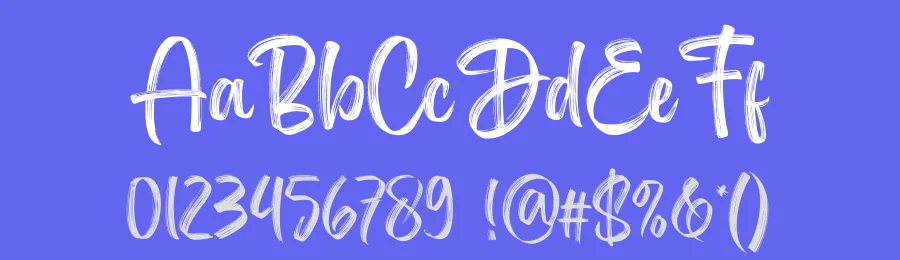 Delighter Brush Font by Subectype — Script Handwritten Font — thumbnail 3