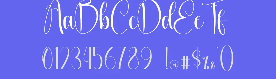 Delightful Calligraphy Font by creativeletter — Script Handwritten Font — thumbnail 3