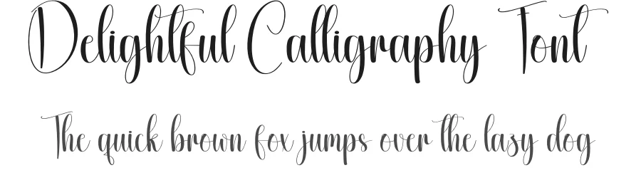 Delightful Calligraphy Font by creativeletter — Script Handwritten Font