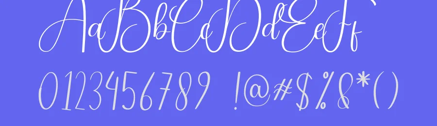 Delightful Calligraphy Font by andikastudio — Script Handwritten Font — thumbnail 3
