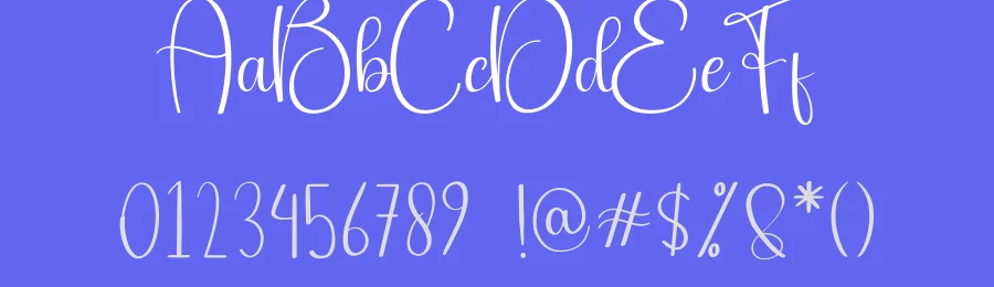 Delightful Calligraphy Font by andikastudio — Script Handwritten Font — thumbnail 3