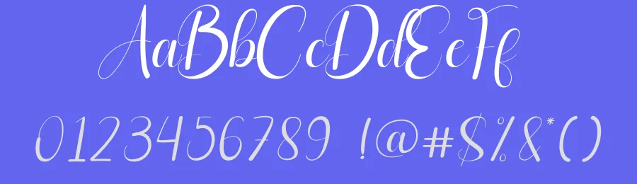 Delightful Calligraphy Font by andikastudio — Script Handwritten Font — thumbnail 3