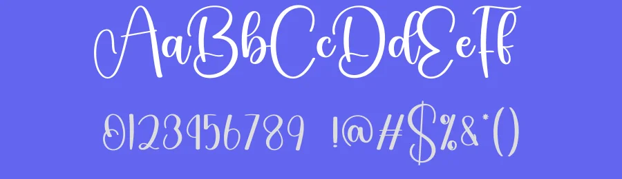 Delightful Calligraphy Font by creativeletter — Script Handwritten Font — thumbnail 3