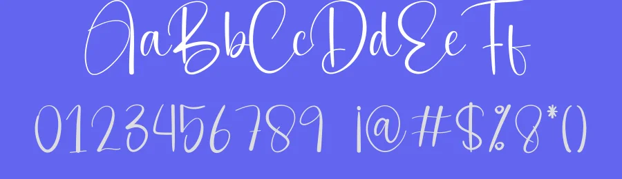 Delightful Calligraphy Script Font by creativeletter — Script Handwritten Font — thumbnail 3
