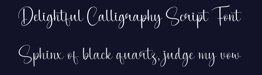 Delightful Calligraphy Script Font by creativeletter — Script Handwritten Font — thumbnail 2