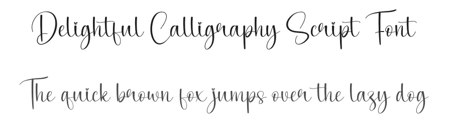 Delightful Calligraphy Script Font by creativeletter — Script Handwritten Font