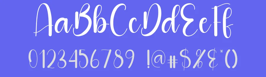 Delightful – New Style Handwritten Font by andikastudio — Script Handwritten Font — thumbnail 3