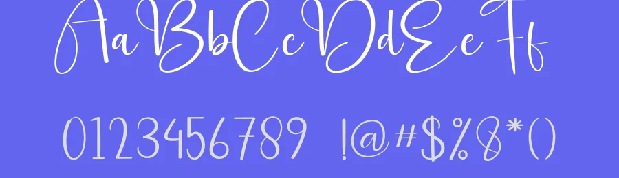 Delightful Script Handwritten Font by andikastudio — Script Handwritten Font — thumbnail 3