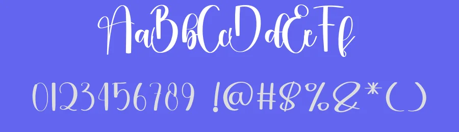 Delightful – Stylish Handwritten Script Font by freshtypeink — Script Handwritten Font — thumbnail 3