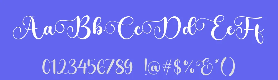 Delightica Font by Timur type — Script Handwritten Font — thumbnail 3