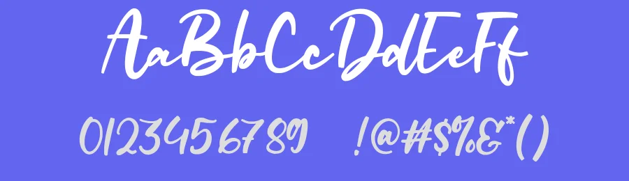 Delightifull Font by qwrtype — Script Handwritten Font — thumbnail 3
