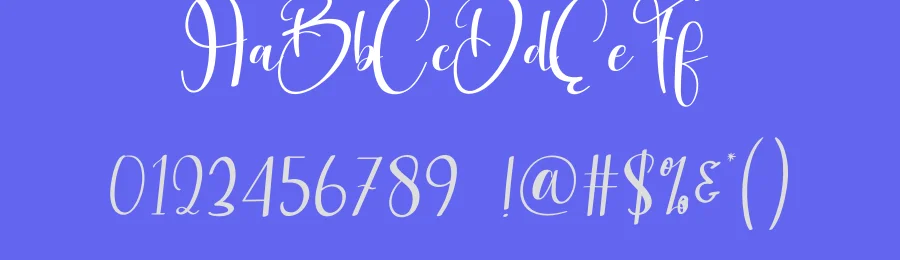 Delightnes Script Font by andikastudio — Script Handwritten Font — thumbnail 3