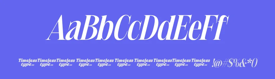 Delivery Feedback Font by timelesstype.co — Serif Font — thumbnail 3